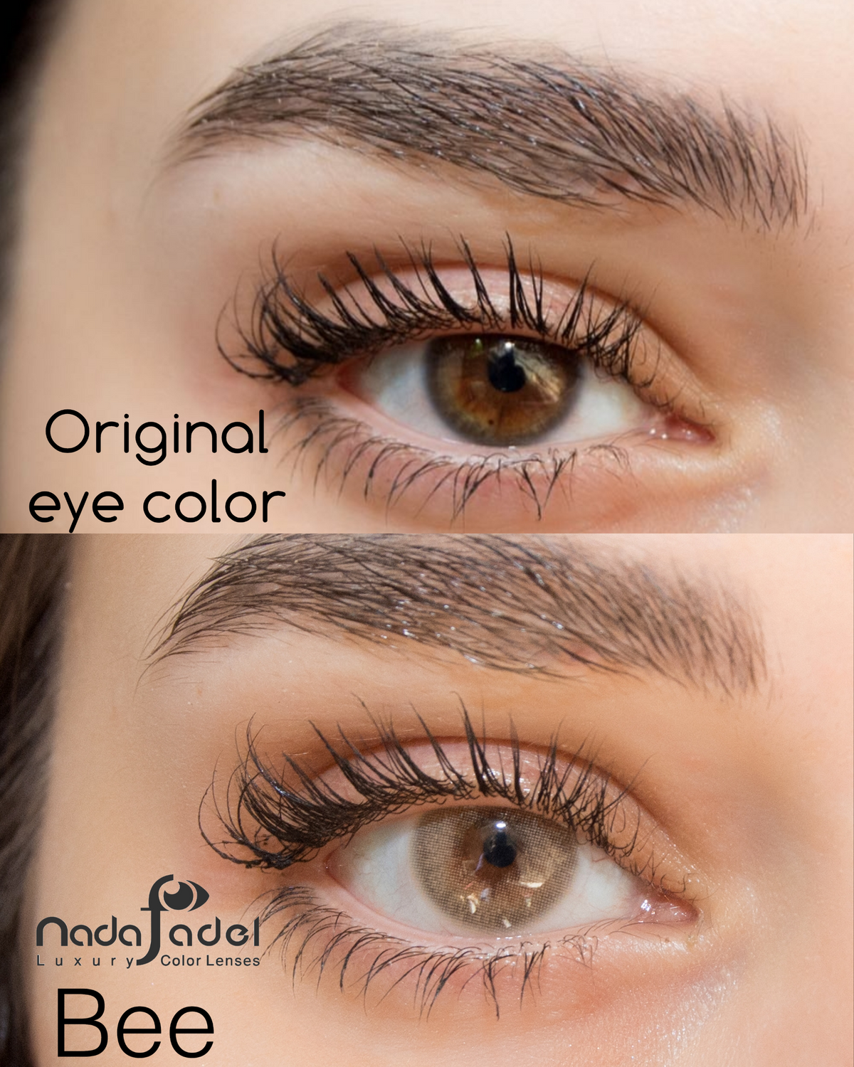 Nada Fedal lenses | Bee - Contact lenses 